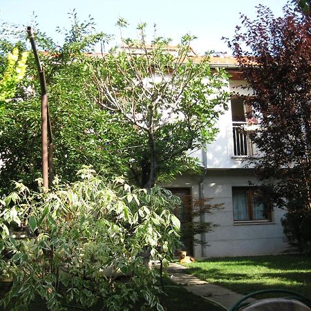 Hostel Oasis Belgrad Dış mekan fotoğraf