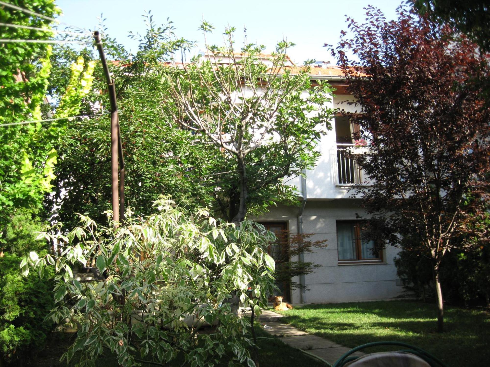 Hostel Oasis Belgrad Dış mekan fotoğraf