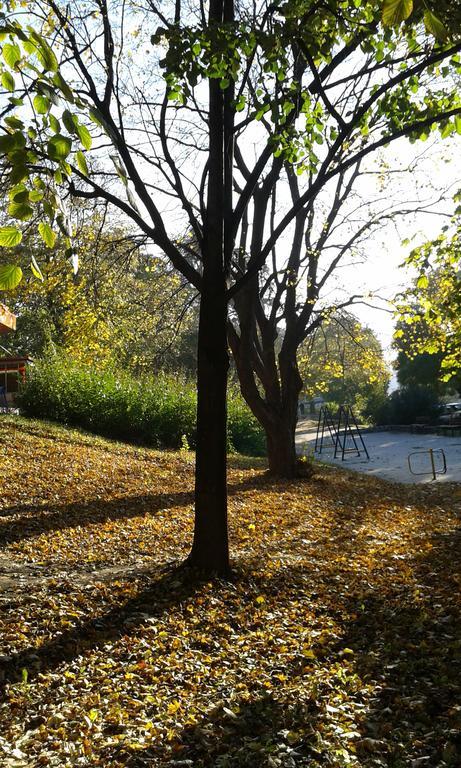 Hostel Oasis Belgrad Dış mekan fotoğraf