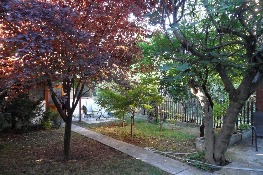 Hostel Oasis Belgrad Oda fotoğraf